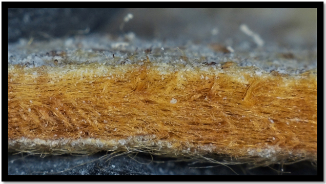 Bolsa de aramida sob o microscópio