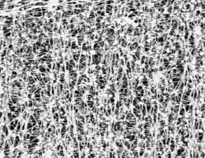 eptfe-pore-structure | Micronics Engineered Filtration Group eptfe membrane pore structure